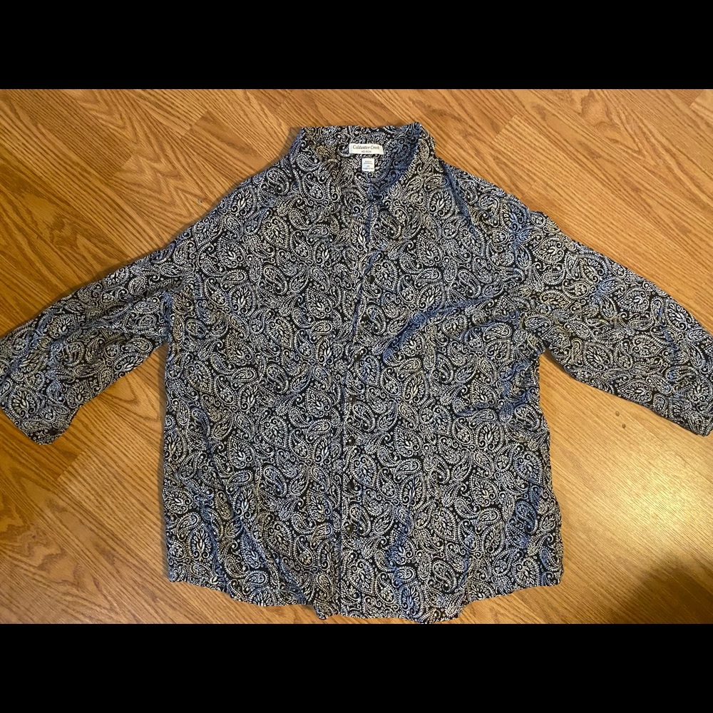 Coldwater Creek Blouse with paisley detail.